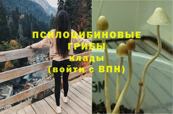 амф Семилуки